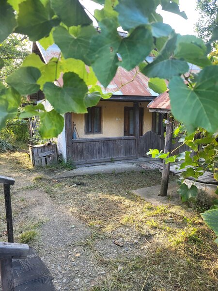 Godinesti, satul Ratez